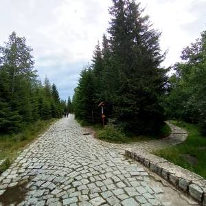 Rozdroże Droga Bronka Czecha - rozdroze droga bronka czecha 10