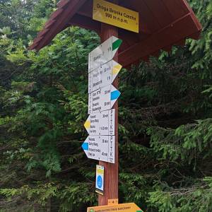 Rozdroże Droga Bronka Czecha - rozdroze droga bronka czecha 5