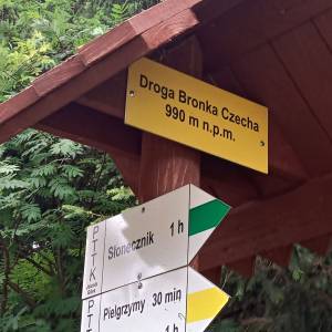 Rozdroże Droga Bronka Czecha - rozdroze droga bronka czecha 7