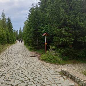 Rozdroże Droga Bronka Czecha - rozdroze droga bronka czecha 9
