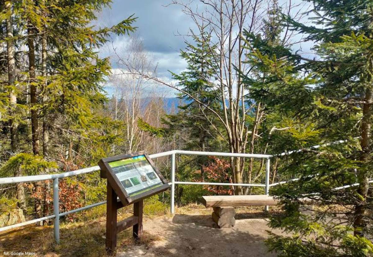 Punkt widokowy w Dolinie Pląsawy - punkt widokowy w dolinie plasawy 6