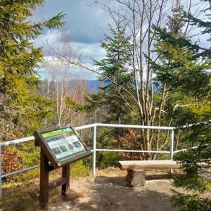 Punkt widokowy w Dolinie Pląsawy - punkt widokowy w dolinie plasawy 6