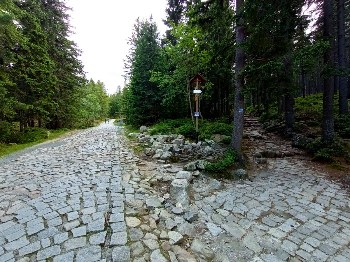 Rozdroże Kozi Mostek - rozdroze kozi mostek 8
