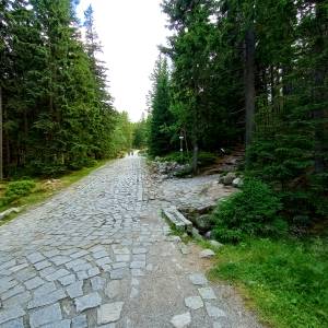 Rozdroże Kozi Mostek - rozdroze kozi mostek 1