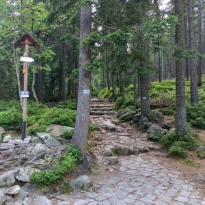 Rozdroże Kozi Mostek - rozdroze kozi mostek 7