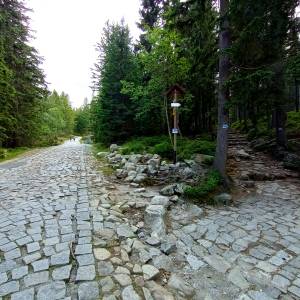 Rozdroże Kozi Mostek - rozdroze kozi mostek 8