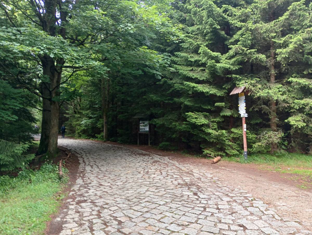 Rozdroże Rówienka - rozdroze rowienka 7