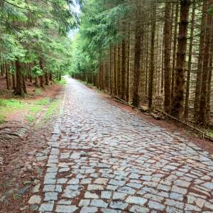 Rozdroże Rówienka - rozdroze rowienka 1