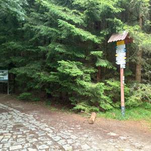 Rozdroże Rówienka - rozdroze rowienka 5