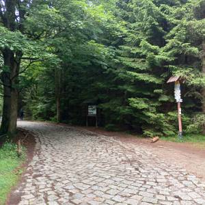 Rozdroże Rówienka - rozdroze rowienka 7