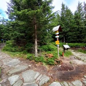 Rozdroże Pod Pielgrzymami - rozdroze pod pielgrzymami 11