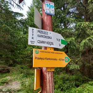 Rozdroże Pod Pielgrzymami - rozdroze pod pielgrzymami 5
