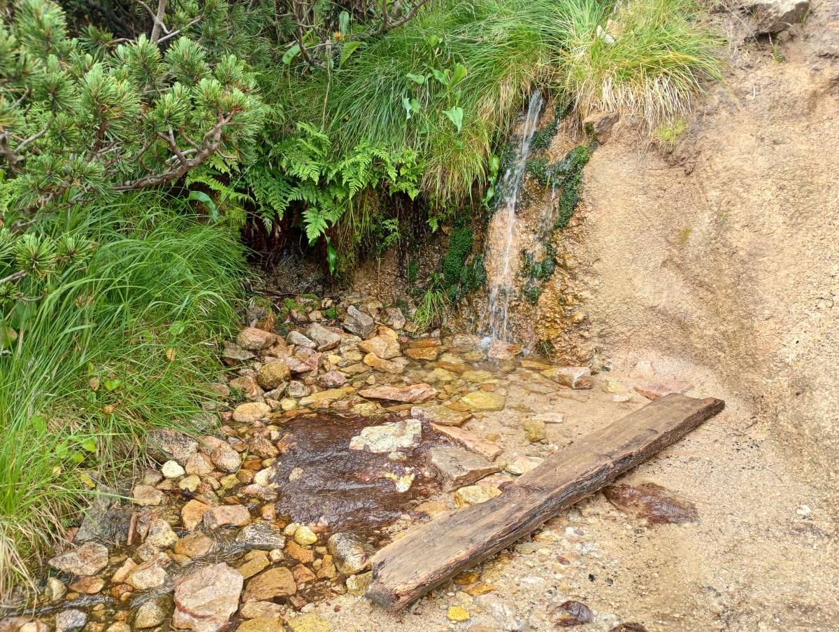 Źródełko nad Małym i Wielkim Kotłem - zrodelko nad malym i wielkim kotlem 7
