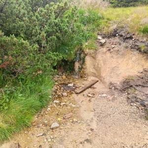 Źródełko nad Małym i Wielkim Kotłem - zrodelko nad malym i wielkim kotlem 4