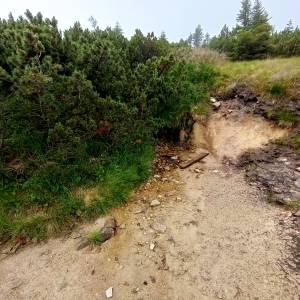 Źródełko nad Małym i Wielkim Kotłem - zrodelko nad malym i wielkim kotlem 5