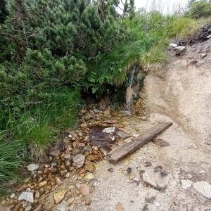 Źródełko nad Małym i Wielkim Kotłem - zrodelko nad malym i wielkim kotlem 6