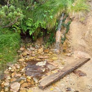Źródełko nad Małym i Wielkim Kotłem - zrodelko nad malym i wielkim kotlem 7