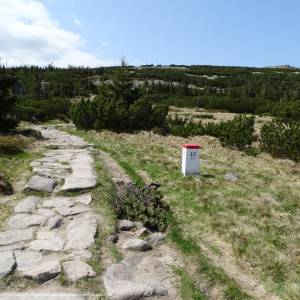 Czarna Przełęcz (Karkonosze) - czarna przelecz karkonosze 10