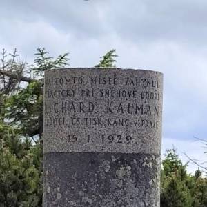 Pomnik Richarda Kalmana - pomnik richarda kalmana 1