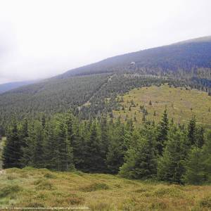 Przełęcz Sowia - przelecz sowia