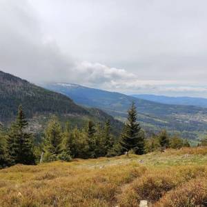 Przełęcz Sowia - sowia przelecz 7