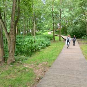 Park Leśny w Karpaczu - park lesny w karpaczu 7