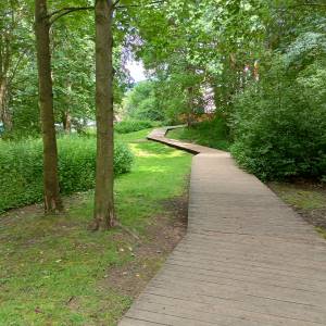 Dawna skocznia narciarska Karpatka w Karpaczu - dawna skocznia narciarska karpatka w karpaczu 1