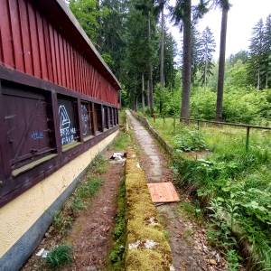 Ruiny toru bobslejowo-saneczkowego w Karpaczu - ruiny toru bobslejowego w karpaczu 3