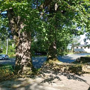 Parking przy Kamieniu Walońskim w Przesiece - parking przy kamieniu walonskim w przesiece 12