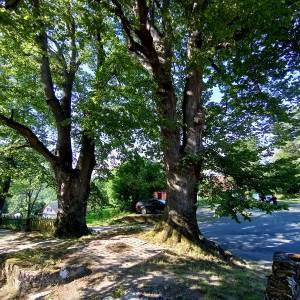 Parking przy Kamieniu Walońskim w Przesiece - parking przy kamieniu walonskim w przesiece 7