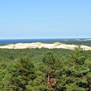 Szlak na latarnię Czołpino przez wydmy - czolpino wydmy