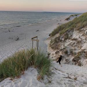 Szlak Jezioro Dołgie Wielkie - Plaża - plaza dolgie wielkie