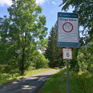 Parking pod Grabowcem w Sosnówce - parking pod grabowcem w sosnowce 5