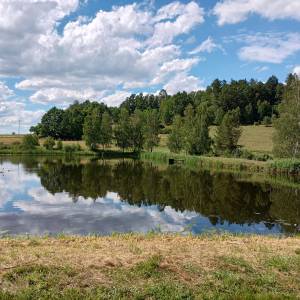 Stawy w Sosnówce - stawy w sosnowce 10