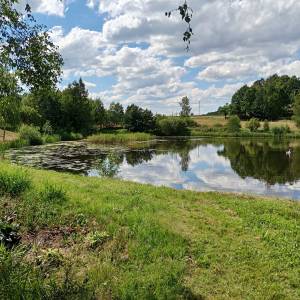 Stawy w Sosnówce - stawy w sosnowce 12