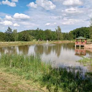 Stawy w Sosnówce - stawy w sosnowce 13