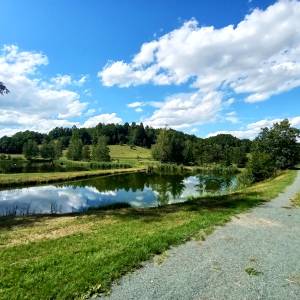 Stawy w Sosnówce - stawy w sosnowce 15