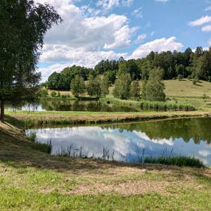 Stawy w Sosnówce - stawy w sosnowce 16