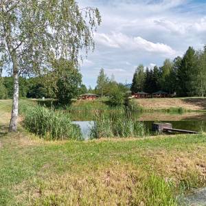 Stawy w Sosnówce - stawy w sosnowce 2