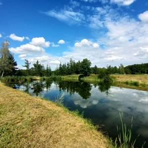 Stawy w Sosnówce - stawy w sosnowce 7