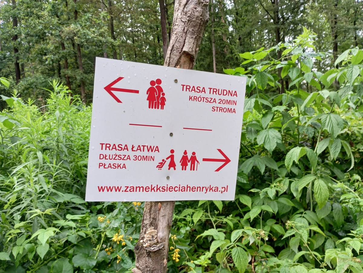 Rozwidlenie dróg prowadzących do Zamku Henryka