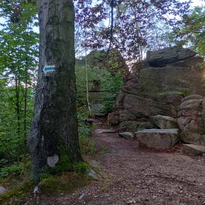 Punkt widokowy Urwisko na Górze Grodna - punkt widokowy gora grodna 1