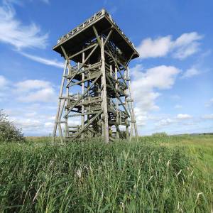 Szlak Doliny Łupawy - jezioro gardno2