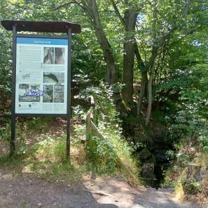 Rozpadlisko w Podgórzynie - rozpadlisko w podgorzynie 5