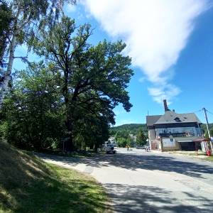 Skwer Pod Muflonem w Podgórzynie - skwer pod muflonem w podgorzynie 1