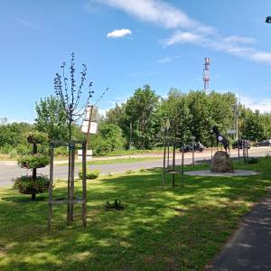 Skwer Pod Muflonem w Podgórzynie - skwer pod muflonem w podgorzynie 5