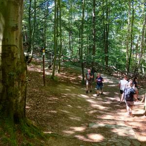 Rozdroże Płaski Kamień - rozdroze plaski kamien 1