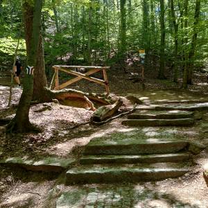 Rozdroże Płaski Kamień - rozdroze plaski kamien 2