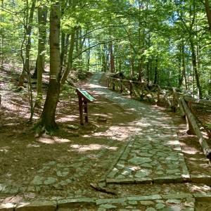 Rozdroże Płaski Kamień - rozdroze plaski kamien 3