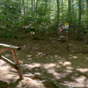 Rozdroże Płaski Kamień - rozdroze plaski kamien 4